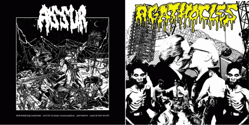 Assur (BEL) : Agathocles - Assur